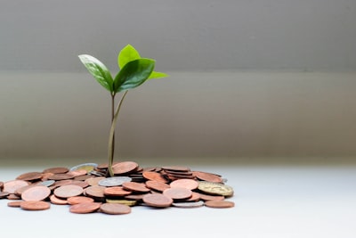Generous payouts
